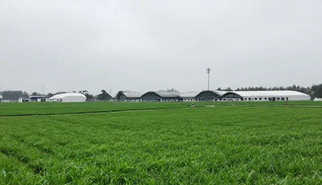商务信息策划的常见问题及处理方法