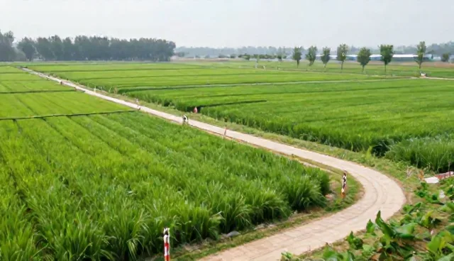 市场调研流程优化设计的选型与使用建议