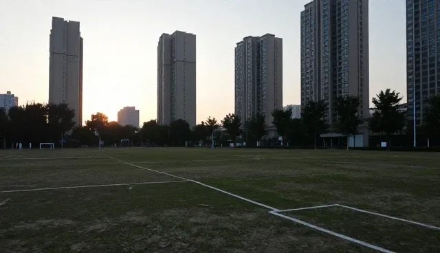 项目咨询在业务发展中性能与适用条件的分析